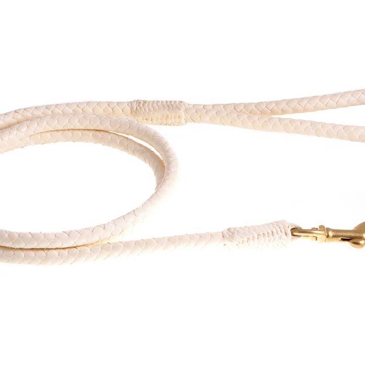 Alvalley - Wholesale Pet Leash - Dog - Braided Leather Snap Leads40