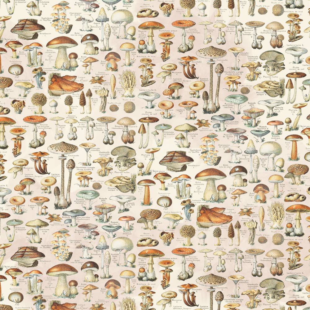 Simple Stories - Wholesale cardstock / karton - Eenvoudig Vintage Woodlands Dubbelzijdig 12x12 Karton1