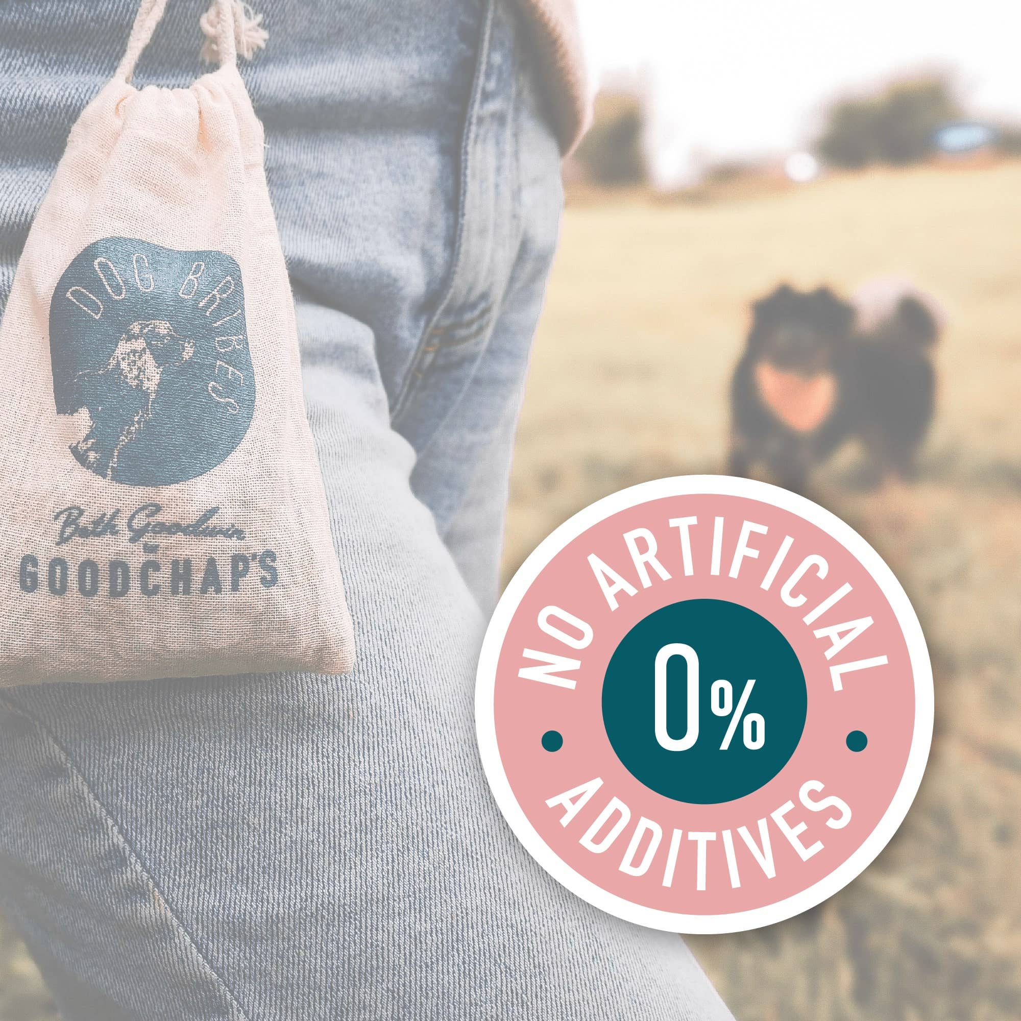 Goodchap's - Vente Friandises – chien - Friandises d'entraînement pour poissons | Friandises écologiques | Sans plastique10