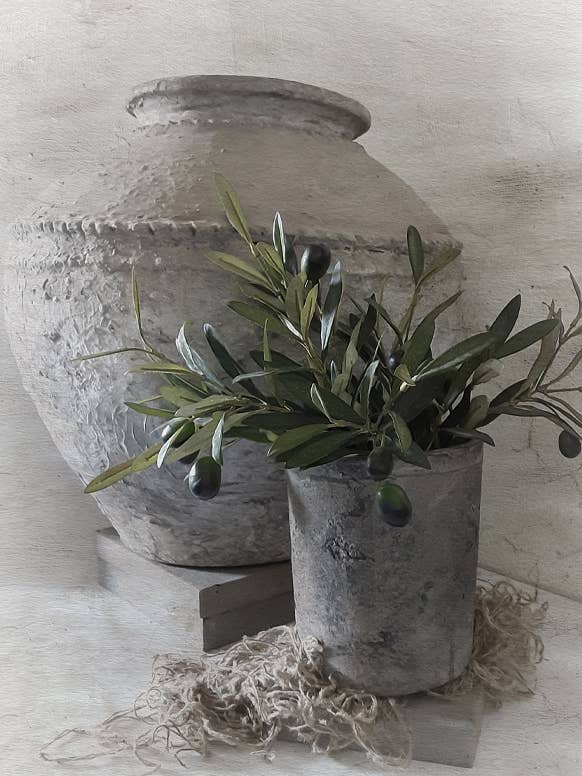 Affiche de jardin L21 : le pot et les olives pour la vente par Nino-Art