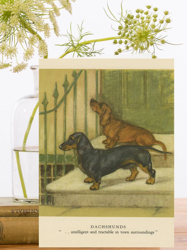 RS251P ~ Tomt nyckfullt gratulationskort för wholesale av Madame Treacle (We cover US import duty)