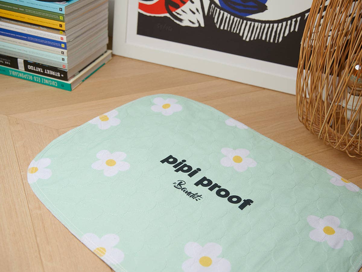 French Bandit - Wholesale Pet Mat - Dog - Set of 2 cleanliness mats2