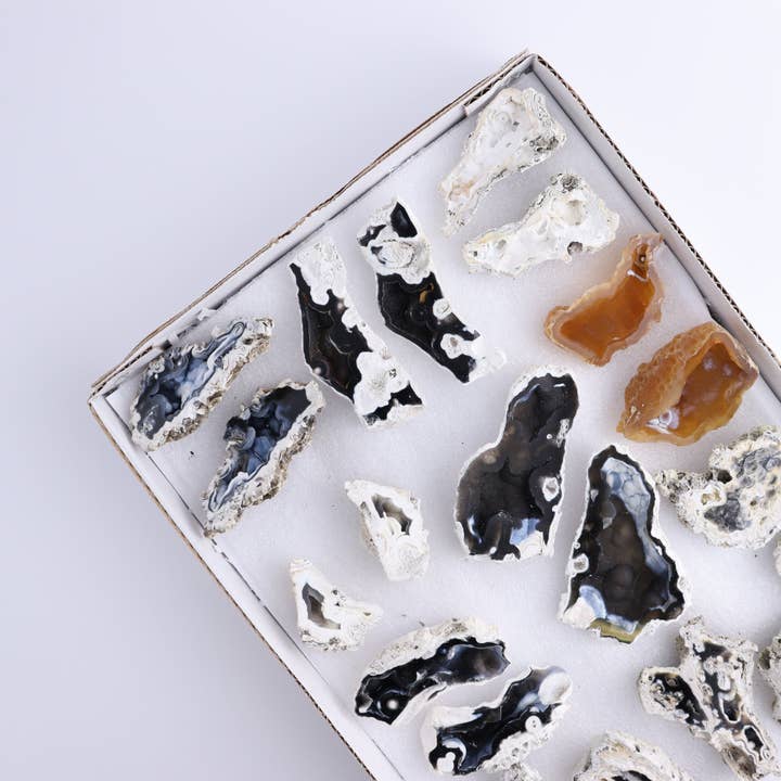 Agatiserad korallplatta för wholesale av Mi Esperanza Minerals