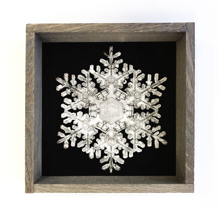 Ægte snefnug 3 - Vinter lærred vægkunst - Snowflake Decor for engroshandel hos Hangout Home
