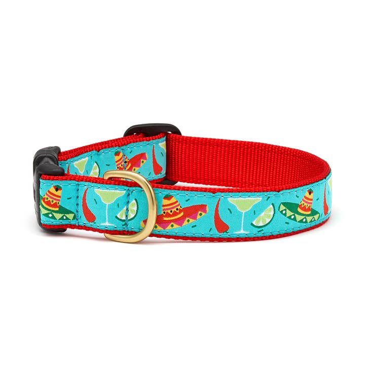 Collier pour chien Cinco de Mayo pour la vente par Up Country, Inc.