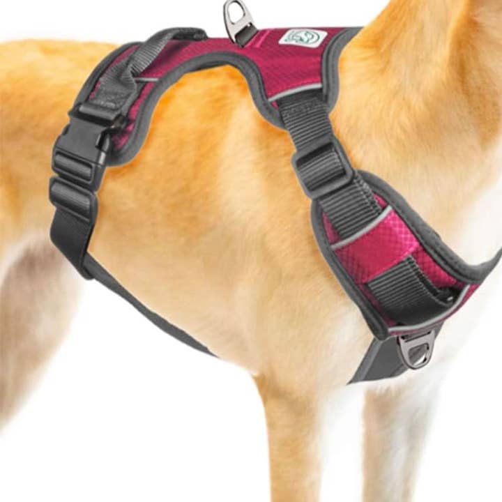 Embark Pets - Wholesale Pet Harness - Dog - Embark Adventure Dog Harness No-Pull Dog Harness