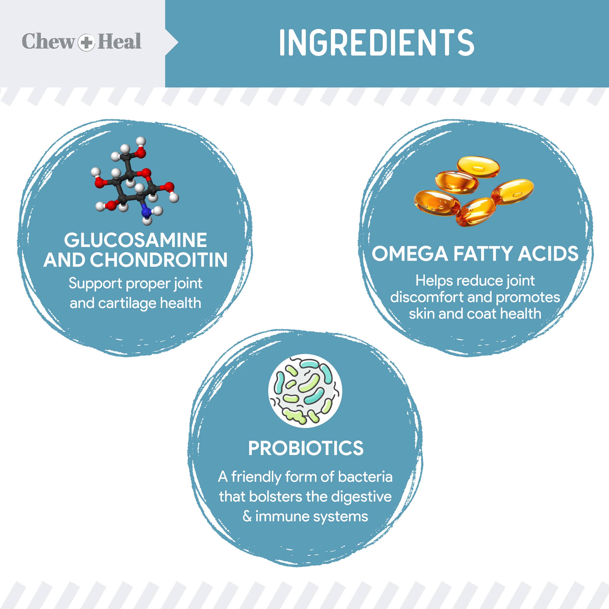 Chew + Heal - Wholesale Pet Supplement - Dog - Daily 12-In-1 Multivitamin Powder for Dogs 3