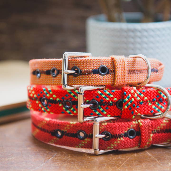 Scavenger - Wholesale Pet Collar - Dog - Dog Collar