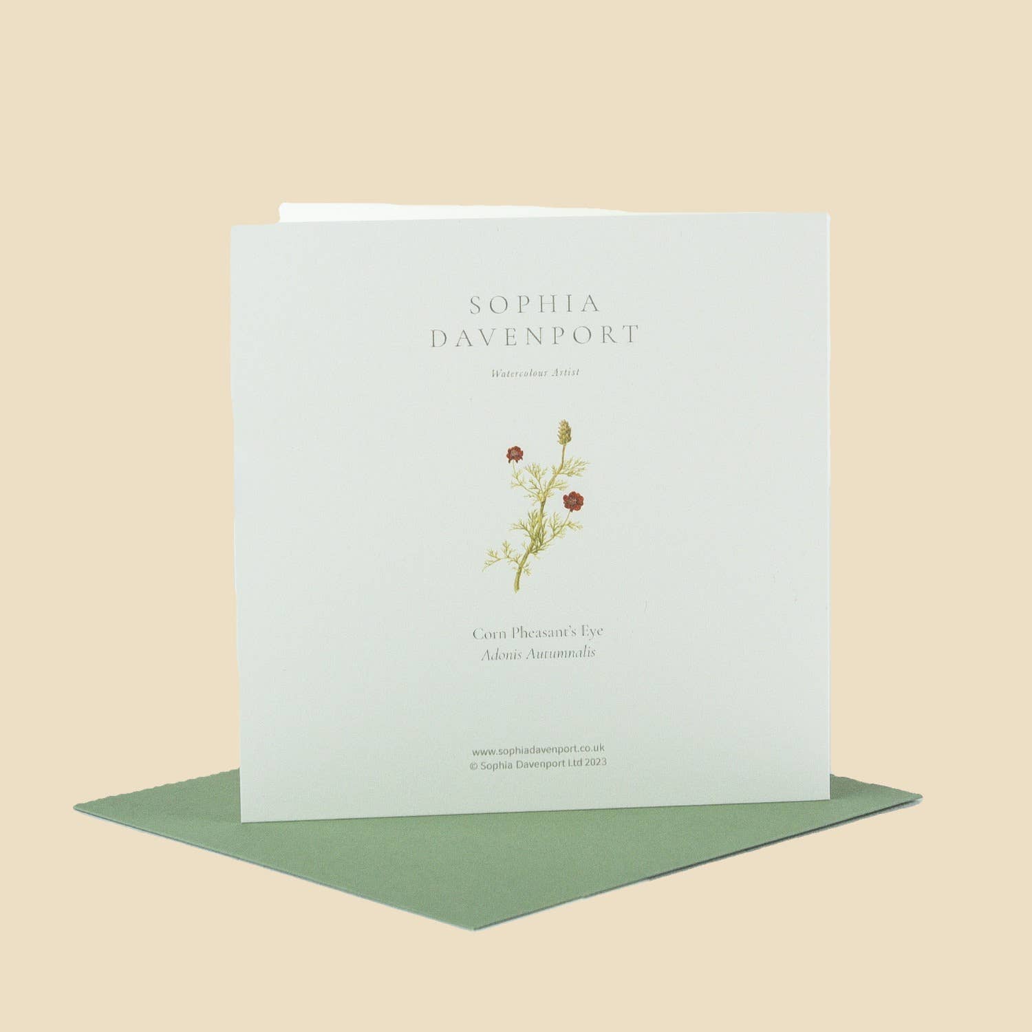 Sophia Davenport - Wholesale Everyday Greeting Card - Wildflower Greeting Cards and Notelets7