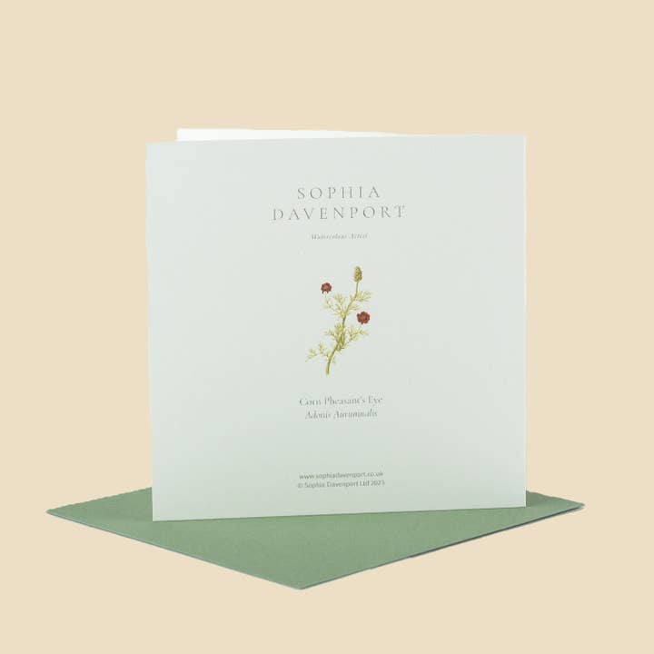 Sophia Davenport - Wholesale Everyday Greeting Card - Wildflower Greeting Cards and Notelets7
