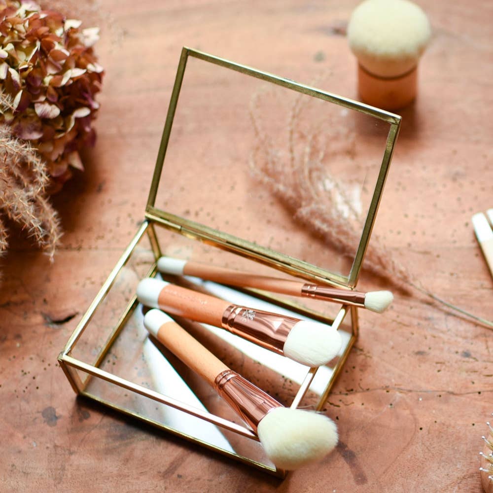 Bachca - Wholesale Makeup Brush Set - Starter kit 55 makeup & facial care brushes6