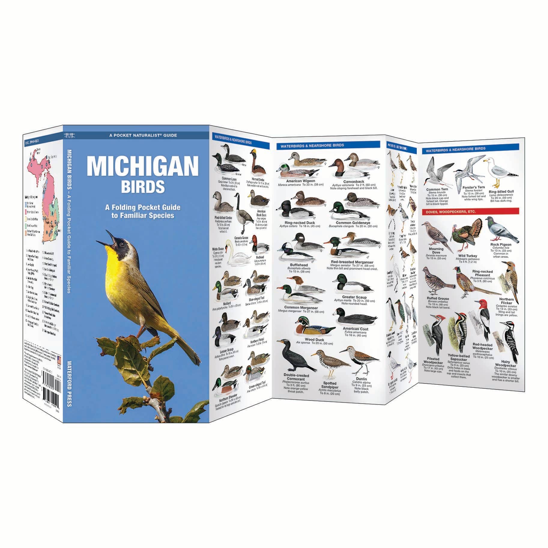 REMOVED BRAND - Wholesale Nature & Outdoors - Michigan Birds Nature Guide1
