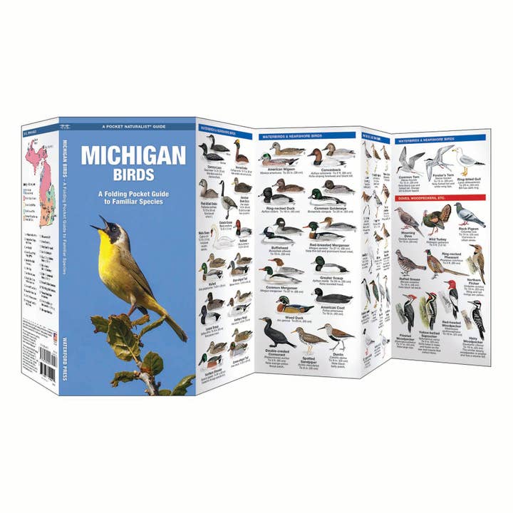 REMOVED BRAND - Wholesale Nature & Outdoors - Michigan Birds Nature Guide1