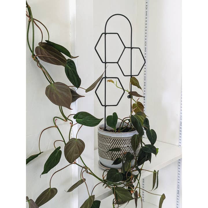 PlantsNsht - Wholesale Trellis - Metal Honeycomb Trellis1