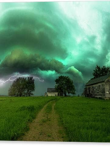 Addicted to Chaos - Canvas Print for wholesale by HomeGroen Photography