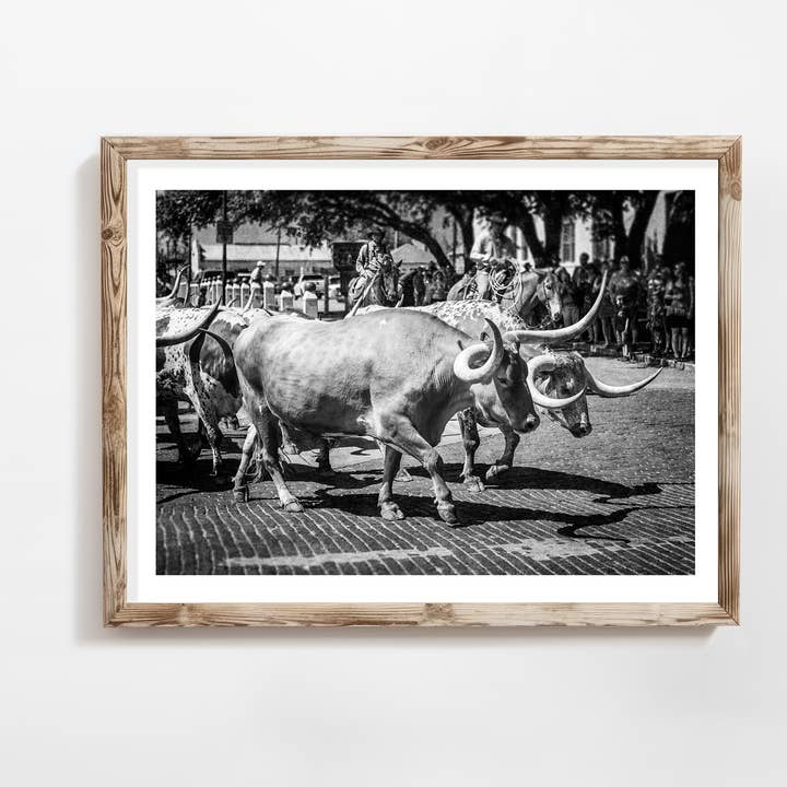 Fort Worth Herd | Longhorn Cattle Drive in Black and White for wholesale by Lisa Russo Fine Art