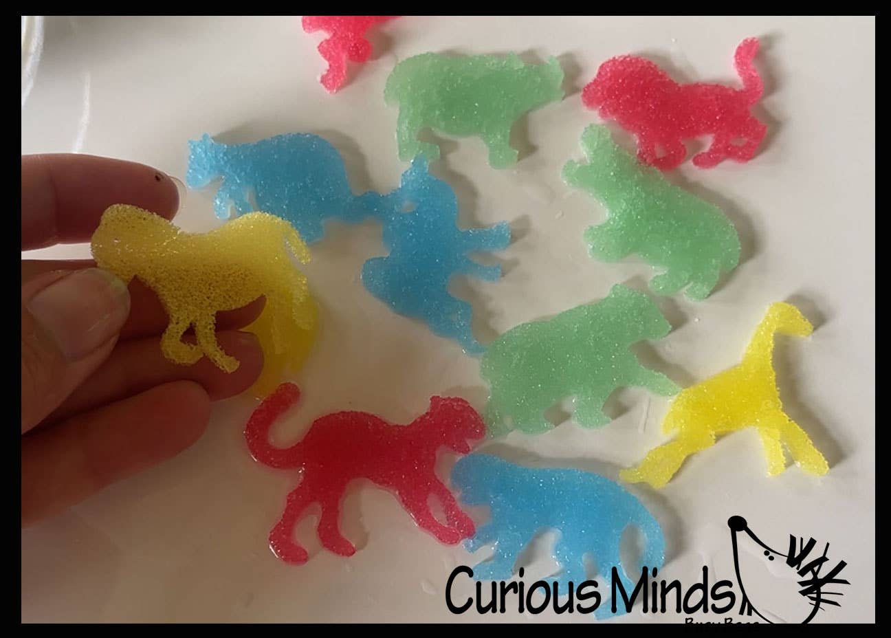 Curious Minds Toys – wholesale Bath toy – Baby – 1 Safari Sponge Capsules - Place in Water Animals1