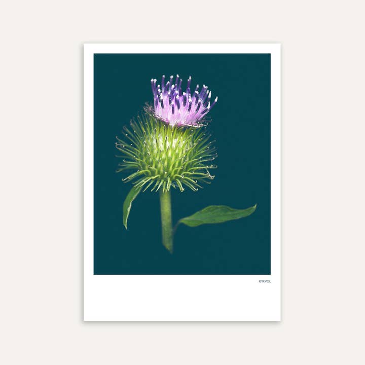 Rijkvol - Wholesale Postcard - King Gobo 01, Postcard