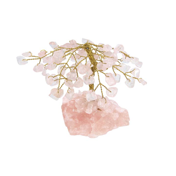 3" Medium Boxet Gemtree for engroshandel hos British Fossils