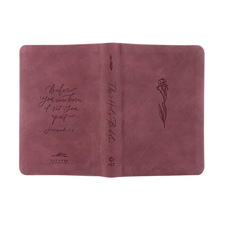 Hosanna Revival – Engroshandel Religionsbog – NLT Kompakt Bibel: Helena Tema3