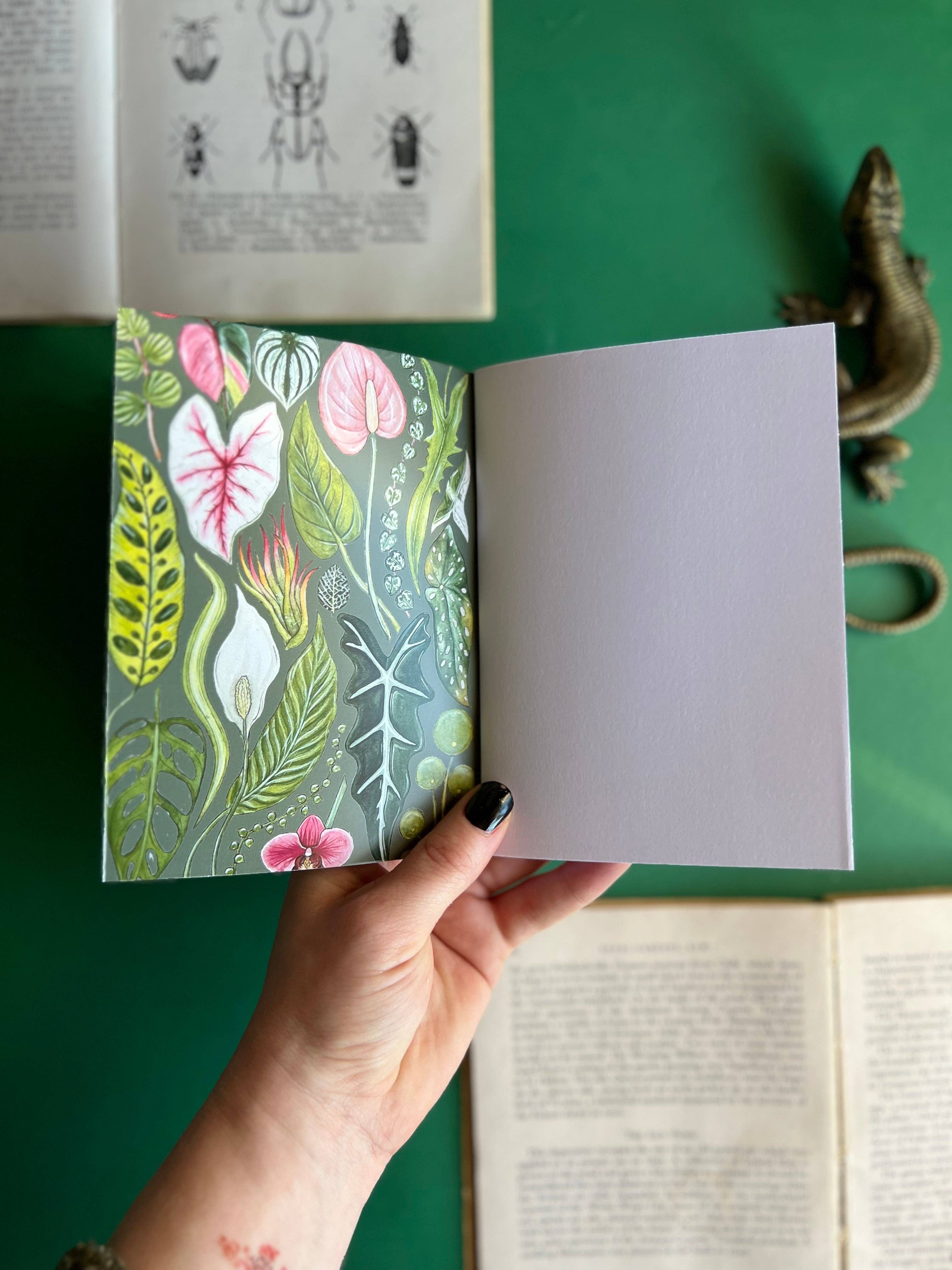 Tansy Moore - Vente Cahiers - Ensemble de carnets de poche Plantes6