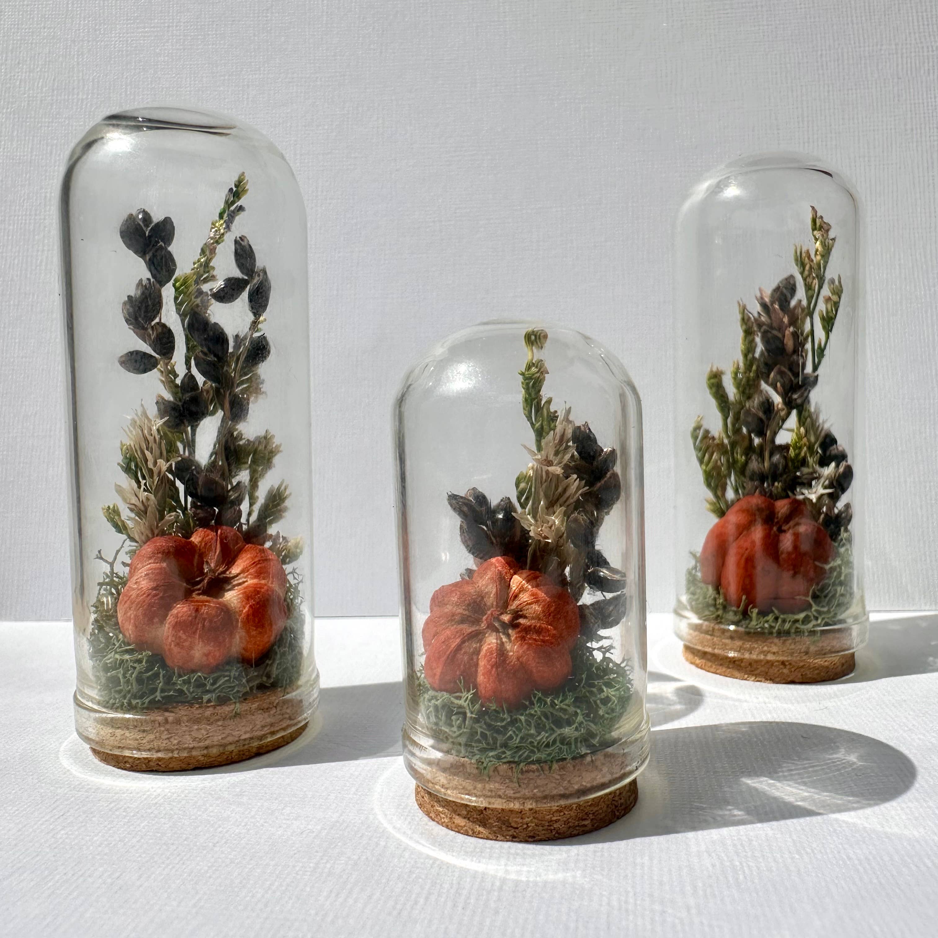 CA Studios - Wholesale Terrarium - Pumpkin Mix Mini Terrarium Potion Jar w Dried Florals8