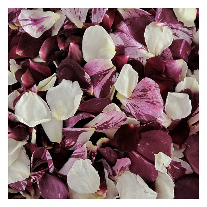 Seduction Rose Petal Blend – 30 Cups Romantic & Irresistible for wholesale by Flyboy Naturals Rose Petals