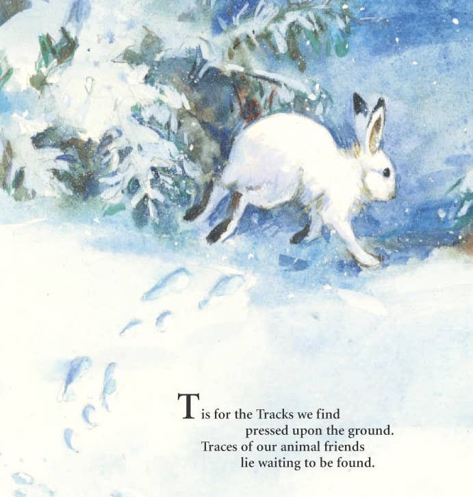 Sleeping Bear Press - Wholesale Book - Kids - S is for S'mores: A Camping Alphabet Picture Book4