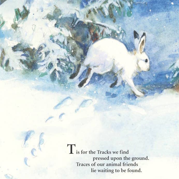 Sleeping Bear Press - Wholesale Book - Kids - S is for S'mores: A Camping Alphabet Picture Book4