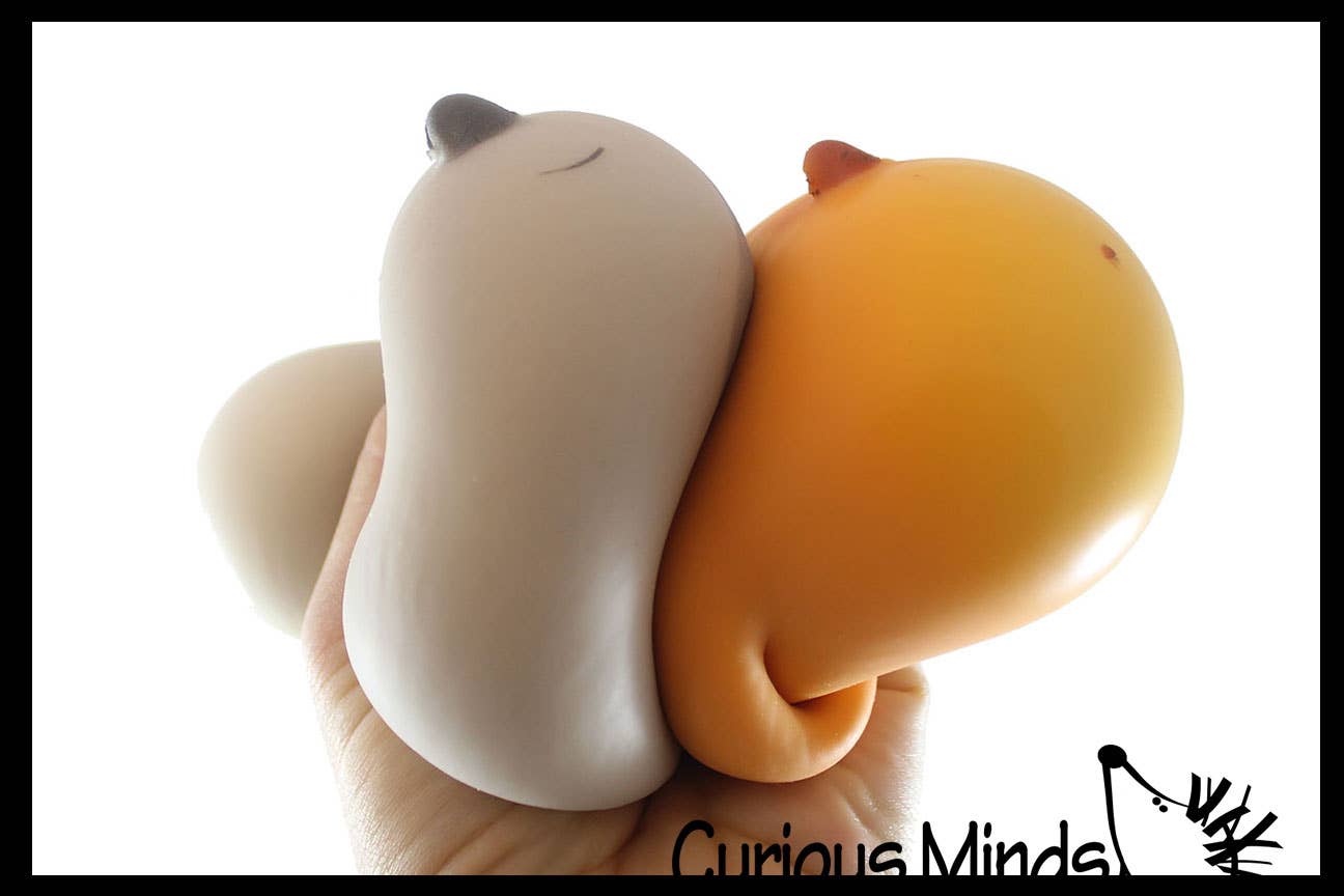 Curious Minds Toys - Wholesale Squishy Toy - Kids & Baby - 1 Capybara Squishy Squeeze Stress Ball Soft Doh Filling - L4