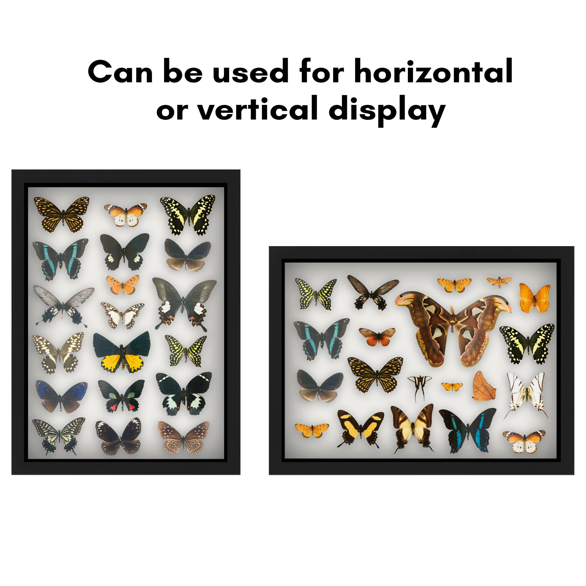 Americanflat - Wholesale Picture Frame - Americanflat Shadow Box Frame with Soft Felt Back29