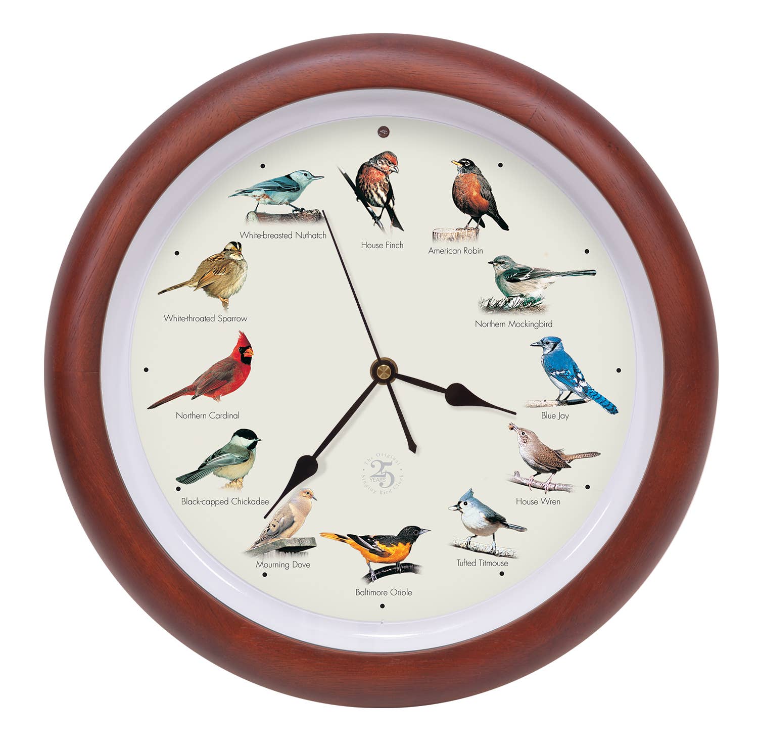 Mark Feldstein & Associates - Wholesale Wall Clock - 25th Anniversary Original Singing Bird Clock, 13", Cherry