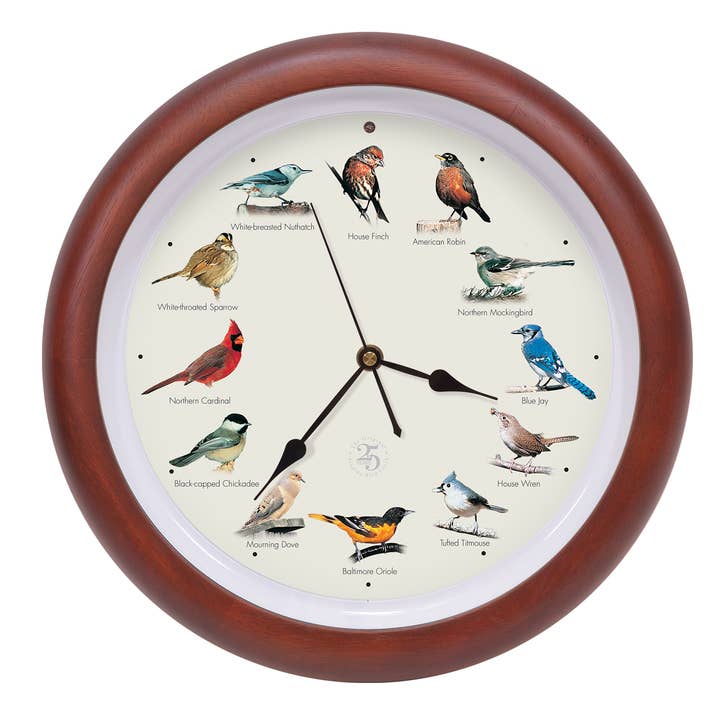 25th Anniversary Original Singing Bird Clock, 13", Cherry for wholesale by Mark Feldstein & Associates