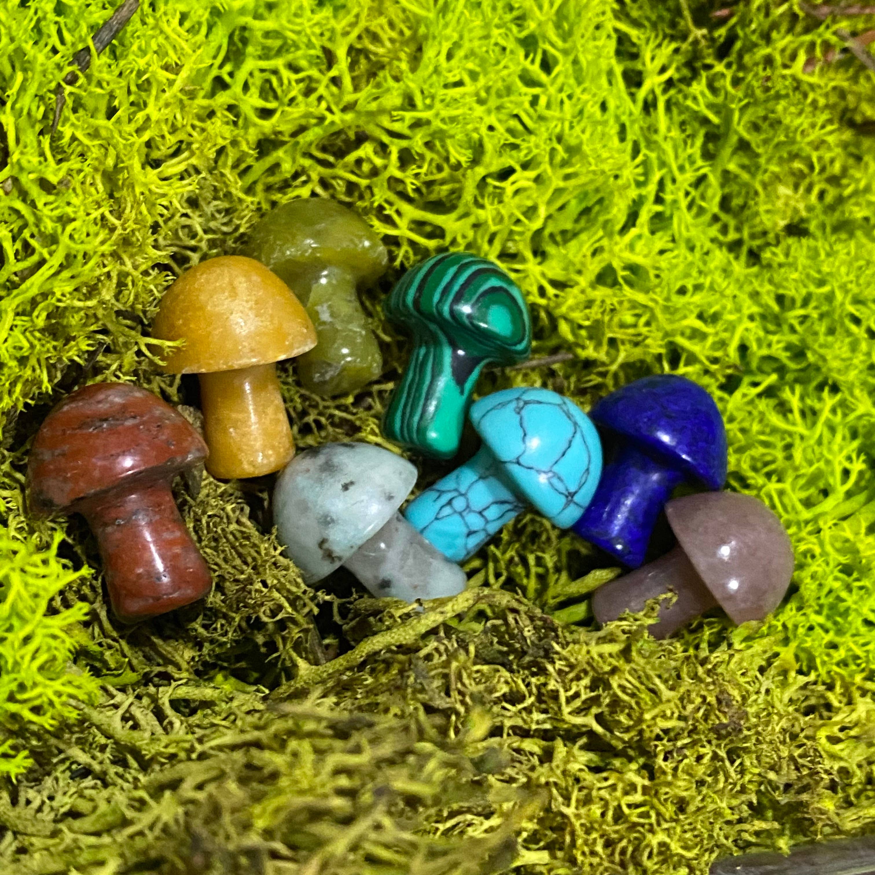 Wax Apothecary - Wholesale Spiritual Stone/Crystal - 🍄 Crystal Mini Mushroom Stone Assortment 🍄7