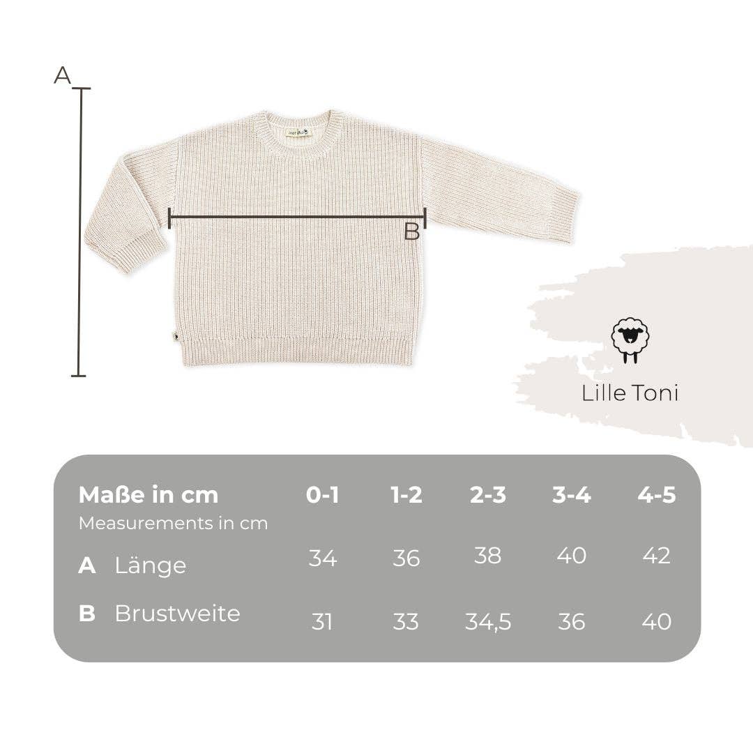 LILLE TONI - Wholesale Knit Sweater - Baby - Sweater "Paul" in gray melange6