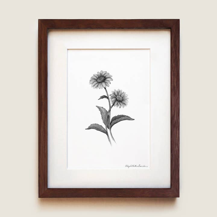 Daisy Flowers | Fine Art Print for wholesale by ElizabethAnnFrancis