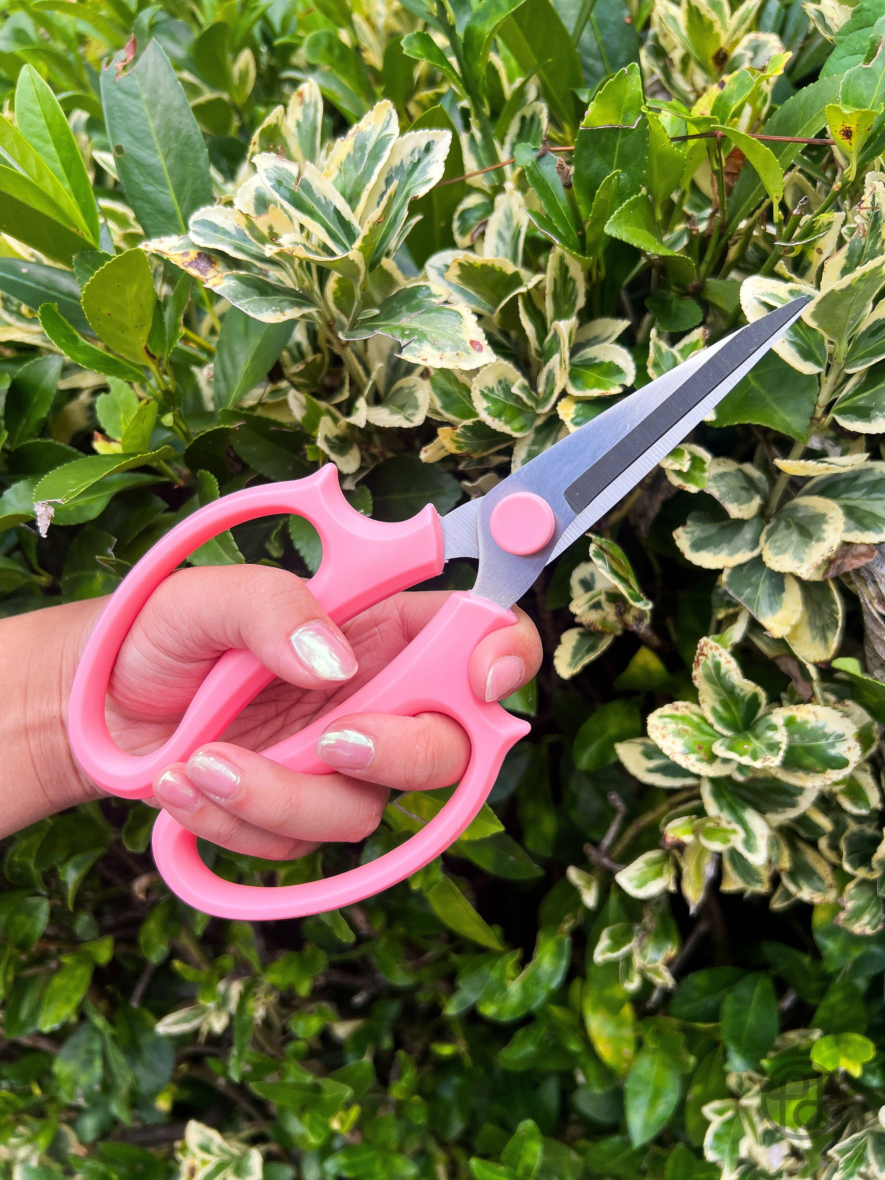 Propagation Diaries - Vente Outil de jardinage - Sécateurs1