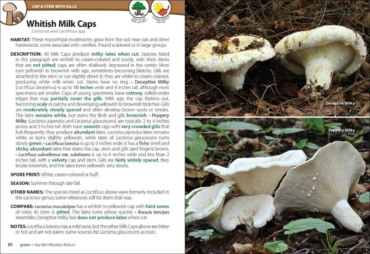 AdventureKEEN - Wholesale Nature & Outdoors - Mushrooms of Upper Midwest 2e2