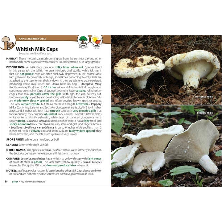 AdventureKEEN - Wholesale Nature & Outdoors - Mushrooms of Upper Midwest 2e2