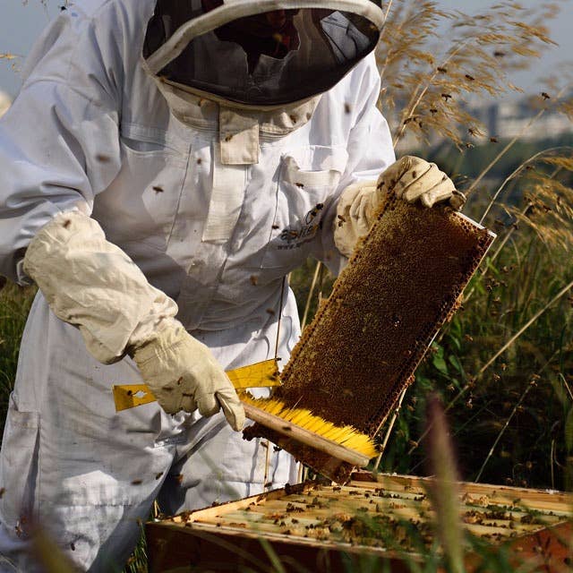 Zayti L.T.D.M - Wholesale Honey - Raw Buckwheat Honey 100% Natural and Unpasteurized - Origin5