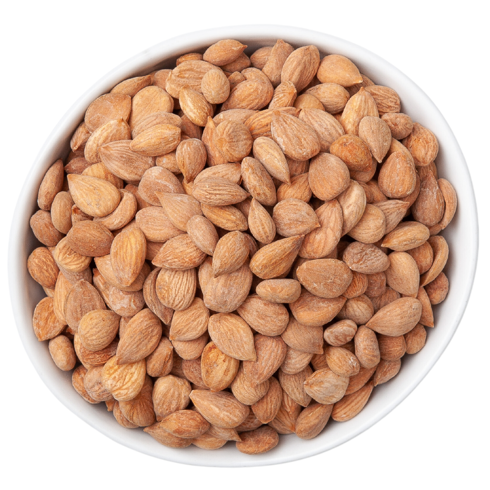 Ziba Foods – wholesale Nötter – Söta aprikosfrön (torrrostad och saltad) Vegan 1oz5