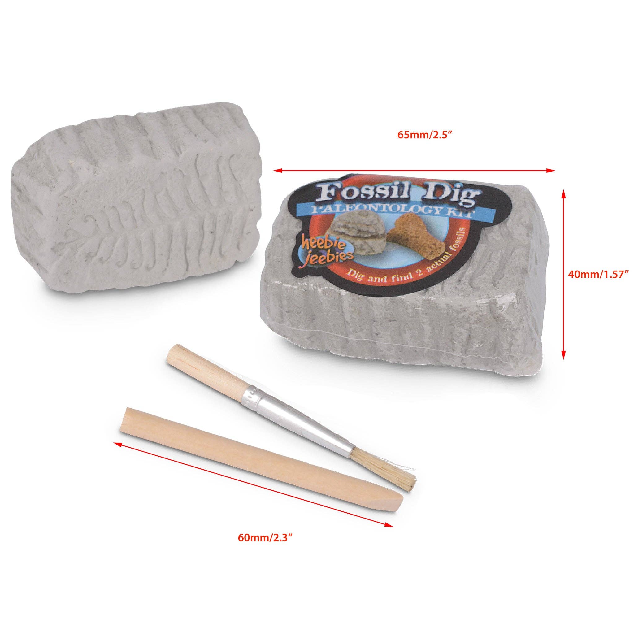 Heebie Jeebies USA - Vente Lot de jouets – enfant - Kit Fossil Dig Paleo dans un bécher scientifique1