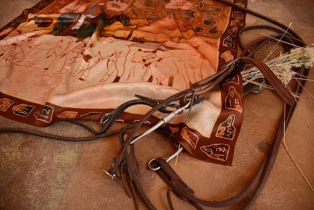 Tirzah Lane Art - Vendita all'ingrosso Sciarpa - Donna - Foulard Grande 100% Seta di Gelso 35x35: Floreale Bovina Cowgirl Western Wild Rag2