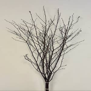 47 in. Natural Decorative Dry Branches Birch Sticks for Home Decoration and  Wedding Craft