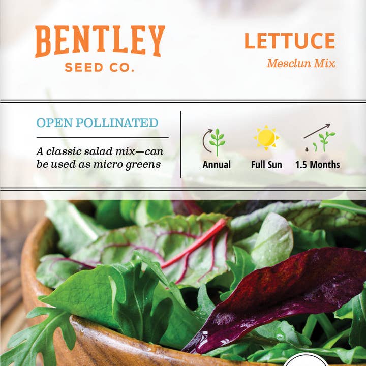 Bentley Seed Co. - Vente Graines de plantes - Laitue, Paquets de Graines de Mélange Mesclun