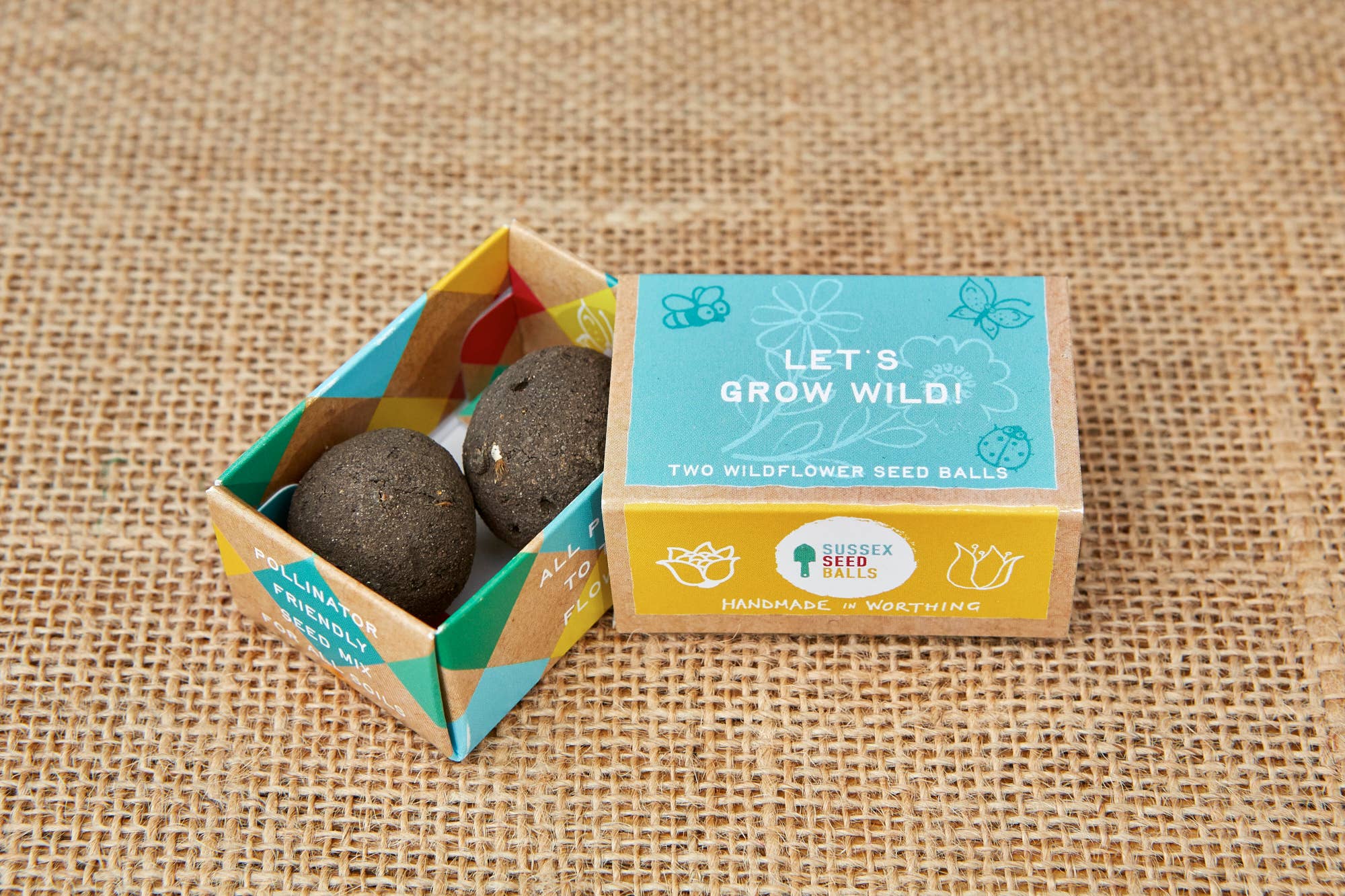 Sussex Seed Balls - Vente Graines de plantes - Coffret cadeau de boules de graines Grow Wild, avec deux boules de graines de fleurs sauvages0