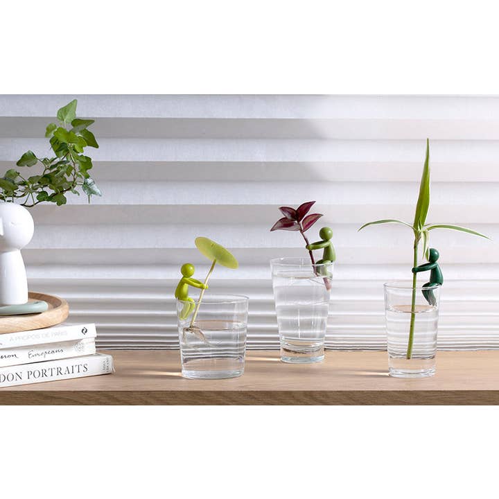 Peleg Design - Wholesale Plant Pot - Leafriend - Plant Propagation Buddy3