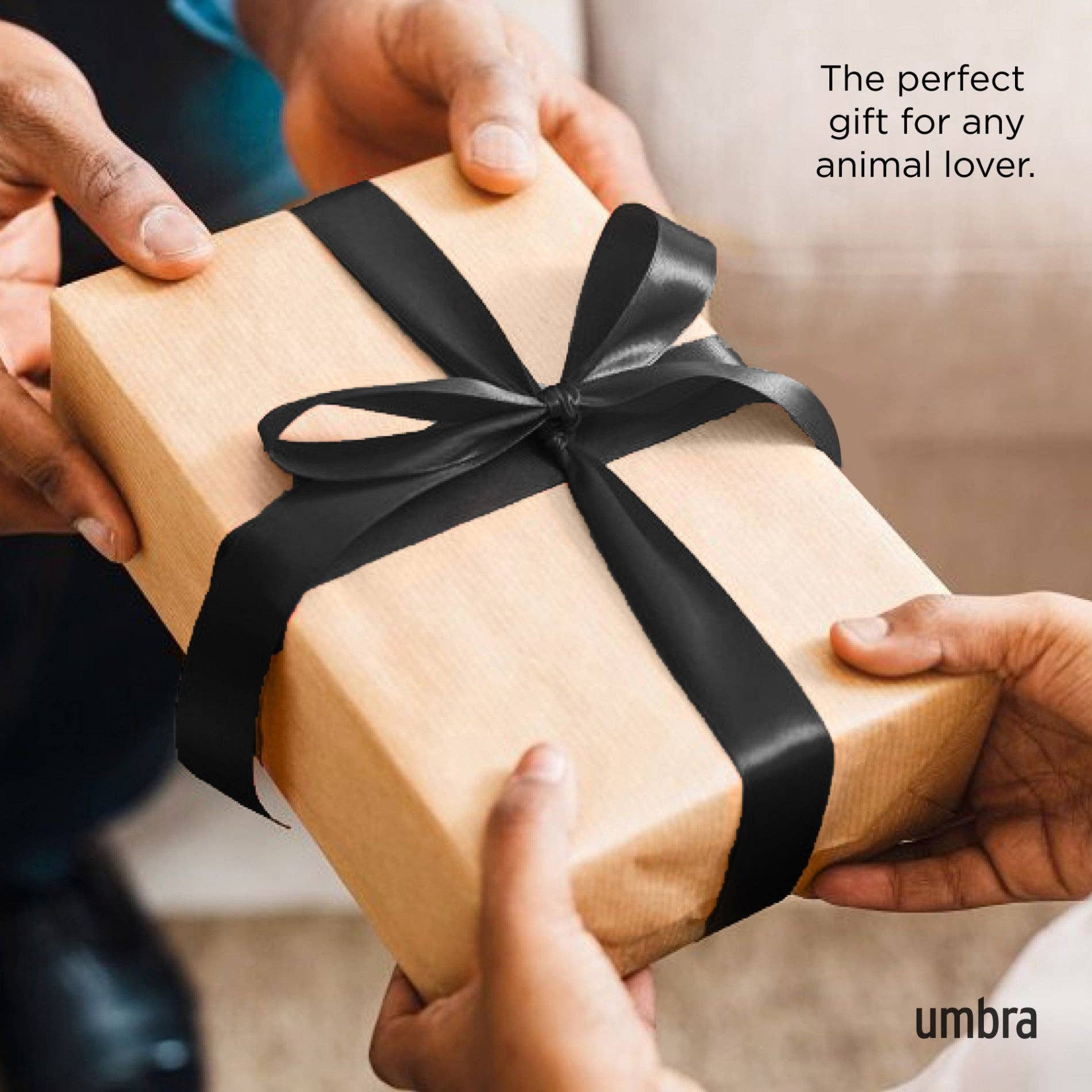 Umbra - Wholesale Jewelry Stand & Display - Ali Cat Ring Holder15