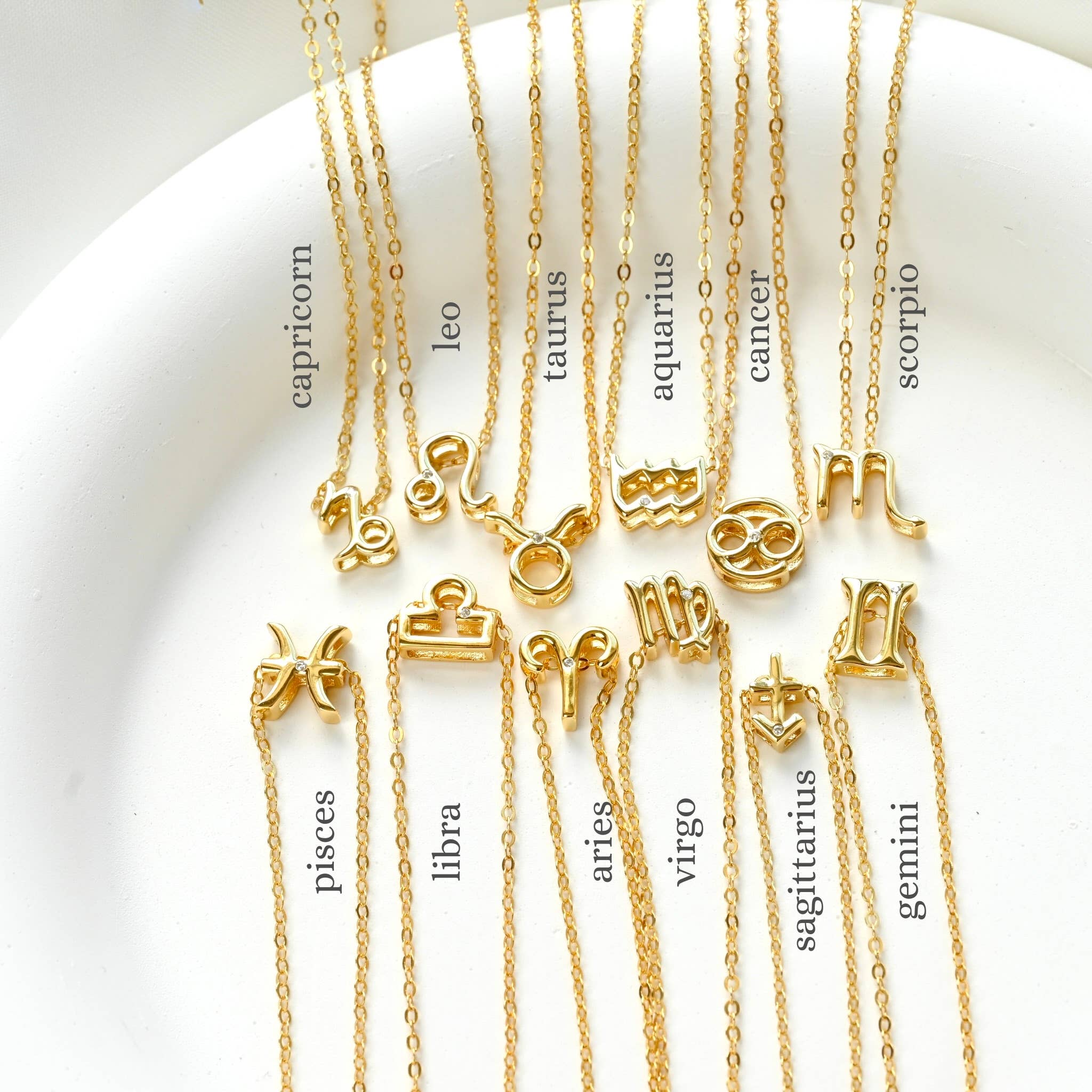 Blueyejewelry - Wholesale Pendant/Charm Necklace - Silver Zodiac Necklace - 925 Silver Dainty Zodiac Pendant 2