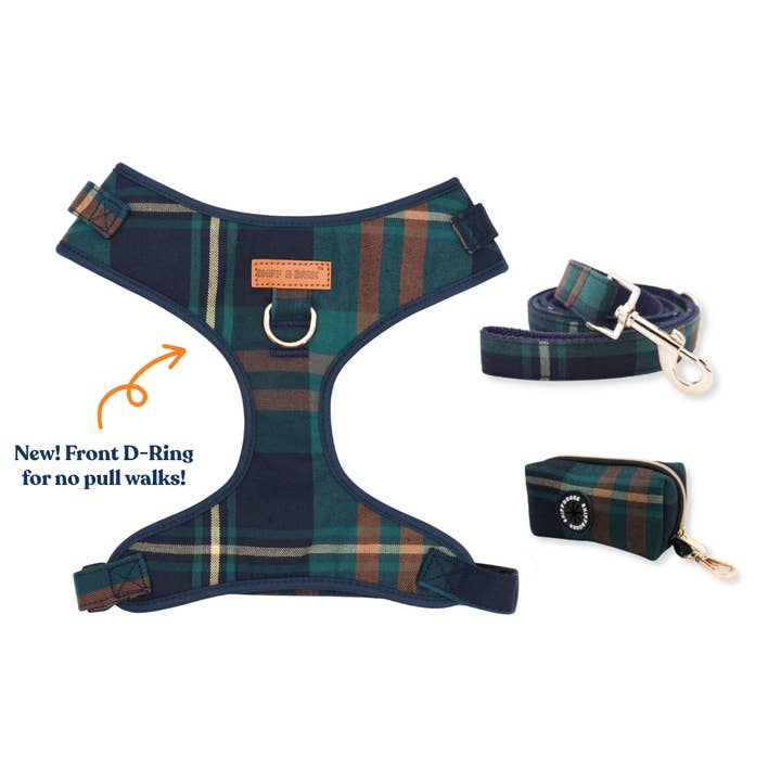 Gentleman AllSet™ Harness Matching Bundle (D Ring) for wholesale by Sniff & Bark